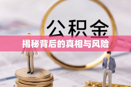 南和揭秘背后的真相与风险
