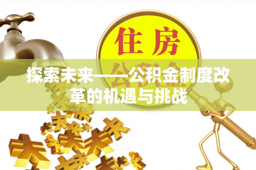 南和探索未来——公积金制度改革的机遇与挑战