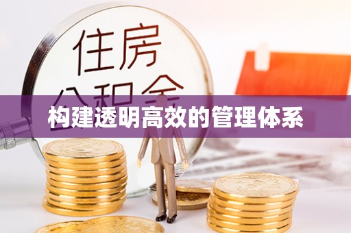 南和构建透明高效的管理体系