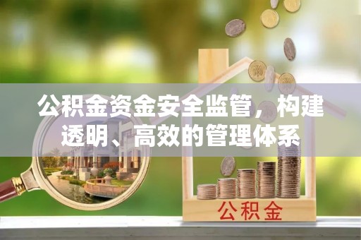 南和公积金资金安全监管，构建透明、高效的管理体系