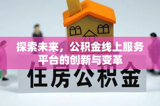 南和探索未来，公积金线上服务平台的创新与变革