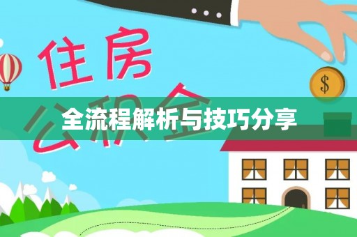 南和全流程解析与技巧分享
